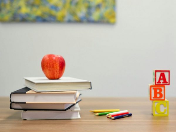 Devenir coach en orientation scolaire : guide complet pour se lancer