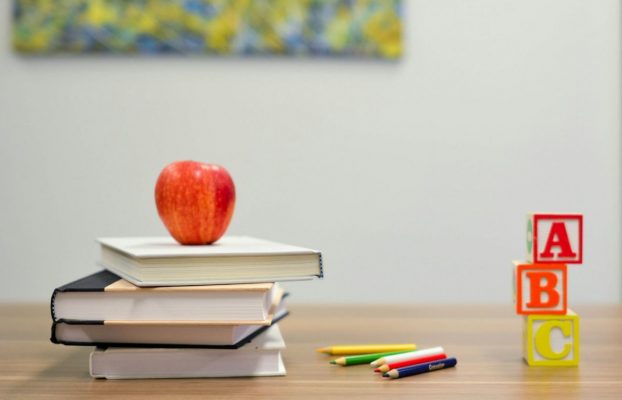 Devenir coach en orientation scolaire : guide complet pour se lancer